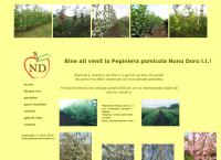 Website Nunu Doru I.i