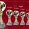 cupe-trofee