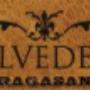 Belvedere Group