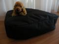 Puf-catel