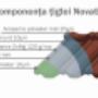 Componenta Novatik