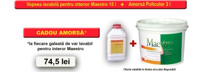 Oferte-var-maestro