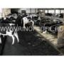 amenajari ferme