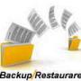 backup si restaurare