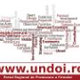 Firme www.undoi.ro