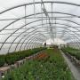 Sere Garden