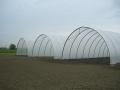 Sere-gradina
