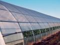 solarii profesionale