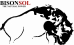 Bisonsol Int SRL