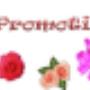 Promotii