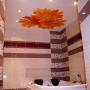 Tavan cu modele 2