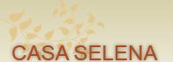 S.c. Prosim Com S.r.l.