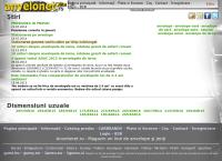 Website SC Anvelonet SRL