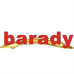 S.c. Barady Services S.r.l.