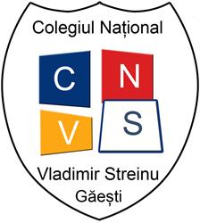 Colegiul National Vladimir Streinu