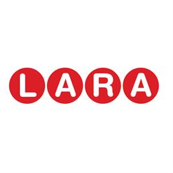 LARA Business Consulting