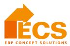 ERP Concept Solutions