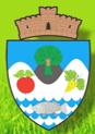 Primaria Comunei Paleu