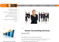 Website Senior Accounting Services