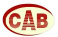 Contabilitate Si Audit Business SRL