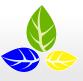 SC Kaso Com Consulting SRL