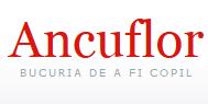 SC Ancuflor SRL