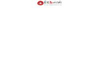 Website Redkiwi Romania