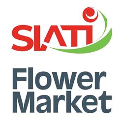 Floraria SIATI Ploiesti