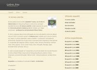 Website galeria arta