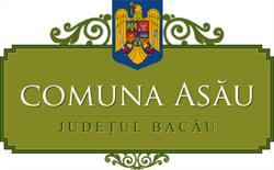 Primaria comunei asau