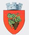 Primaria Orasului Odobesti