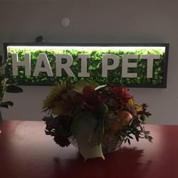 S.c. Hari Pet S.r.l.