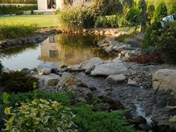 Elfi Garden