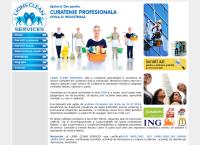 Website Lions Clean Services
