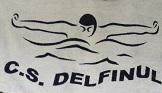 CS Delfinul