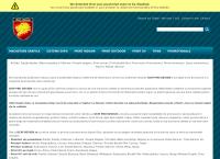 Website SC DCM PRO DESIGN SRL Bucuresti