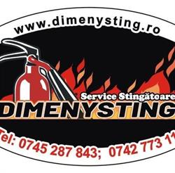 SC Dimenysting SRL