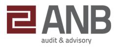 Anb Consulting