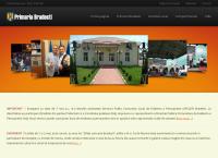 Website Primăria Comunei Brădeşti