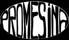 Sc.promesina SRL