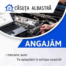 Casuta Albastra