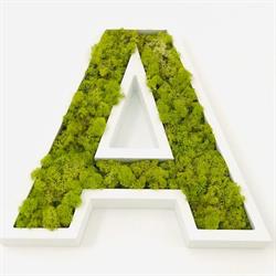 Clinica AESTHETICA