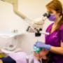 Endodontie