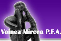 Voinea Mircea P.f.a.