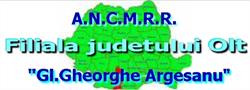 Filiala judetului Olt Gl. Gheorghe Argesanu