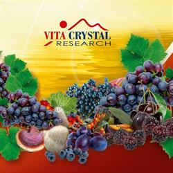 Vita Crystal Research