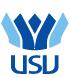 Radio USV
