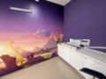 NPA Laborotor Analize Medicale - Recoltare pediatrie I G Duca 44