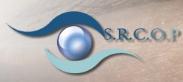 SRCOP Societatea Romana de Chirurgie Oculoplastica