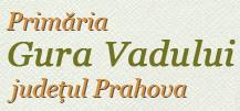 Primăria Gura Vadului